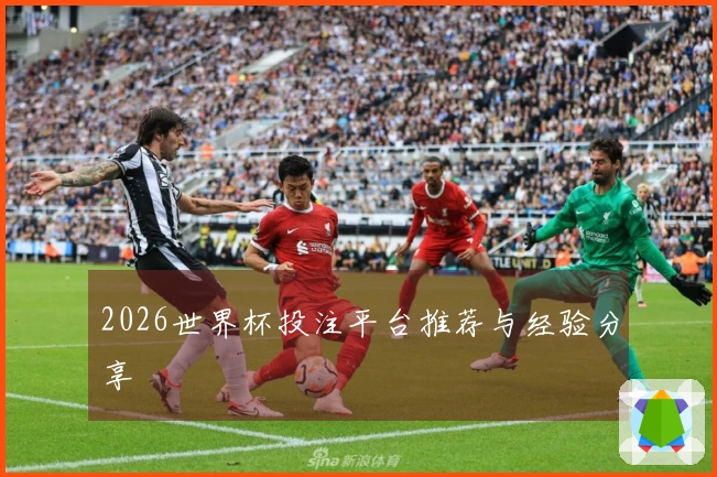 2026世界杯投注平台推荐与经验分享