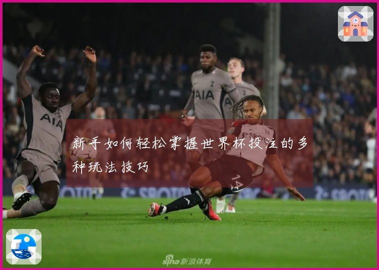 新手如何轻松掌握世界杯投注的多种玩法技巧