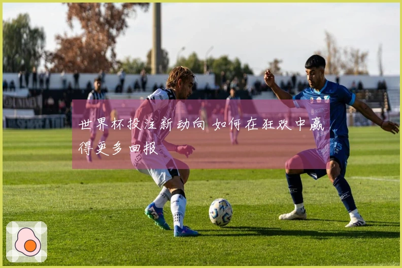 世界杯投注新动向 如何在狂欢中赢得更多回报