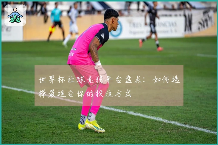世界杯让球竞猜平台盘点：如何选择最适合你的投注方式