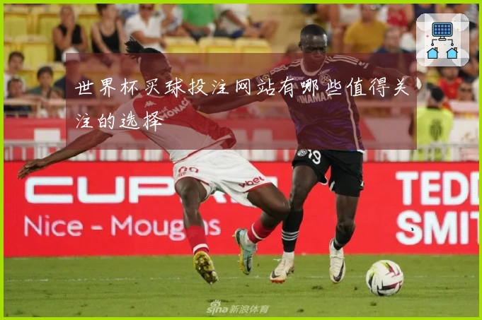 世界杯买球投注网站有哪些值得关注的选择