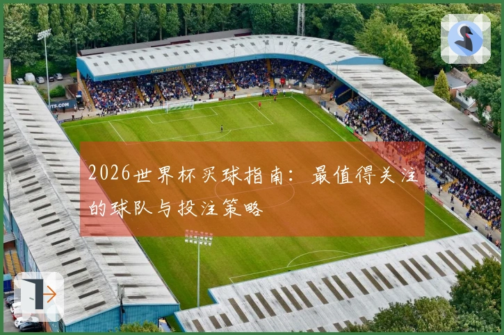 2026世界杯买球指南:最值得关注的球队与投注策略