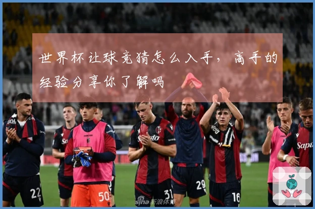 世界杯让球竞猜怎么入手，高手的经验分享你了解吗
