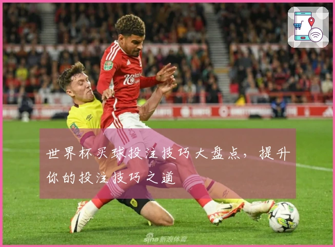 世界杯买球投注技巧大盘点，提升你的投注技巧之道