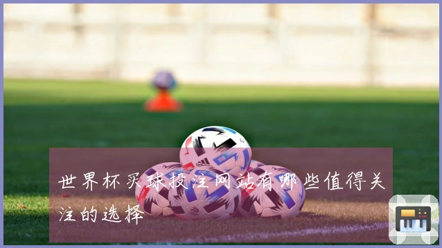 世界杯买球投注网站有哪些值得关注的选择