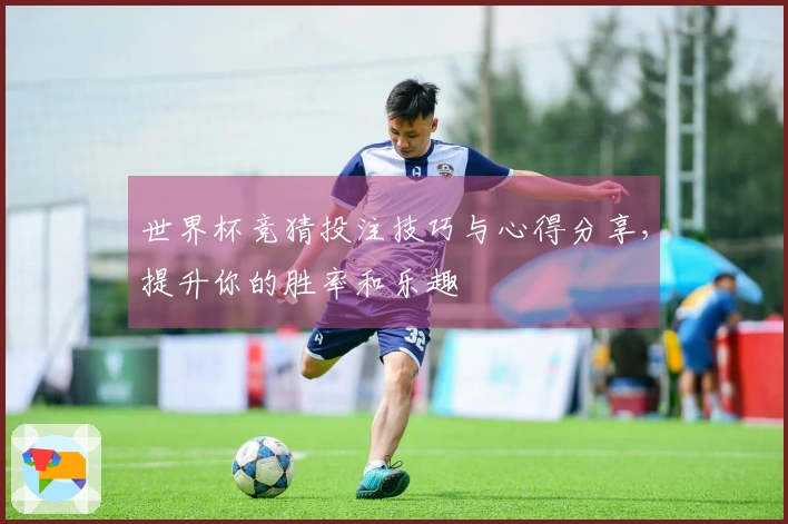 世界杯竞猜投注技巧与心得分享，提升你的胜率和乐趣