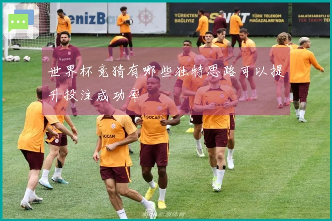 世界杯竞猜有哪些独特思路可以提升投注成功率