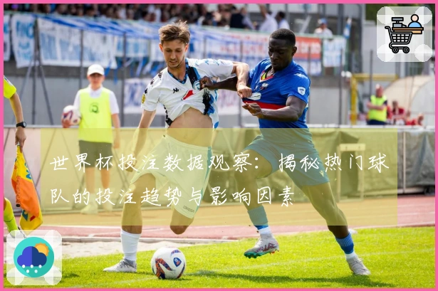 世界杯投注数据观察：揭秘热门球队的投注趋势与影响因素