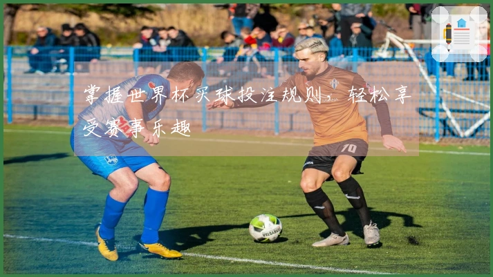 掌握世界杯买球投注规则，轻松享受赛事乐趣