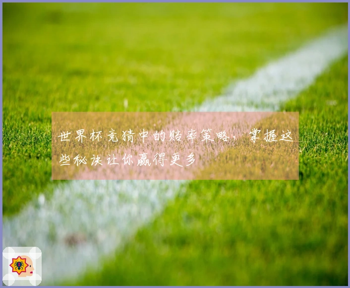 世界杯竞猜中的赔率策略，掌握这些秘诀让你赢得更多