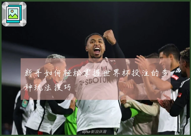 新手如何轻松掌握世界杯投注的多种玩法技巧