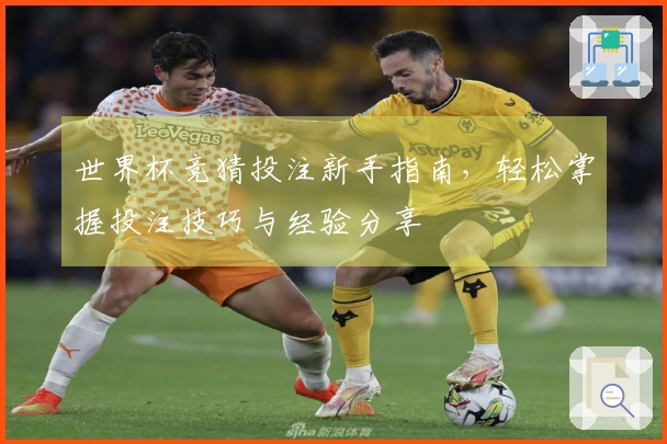 世界杯竞猜投注新手指南，轻松掌握投注技巧与经验分享