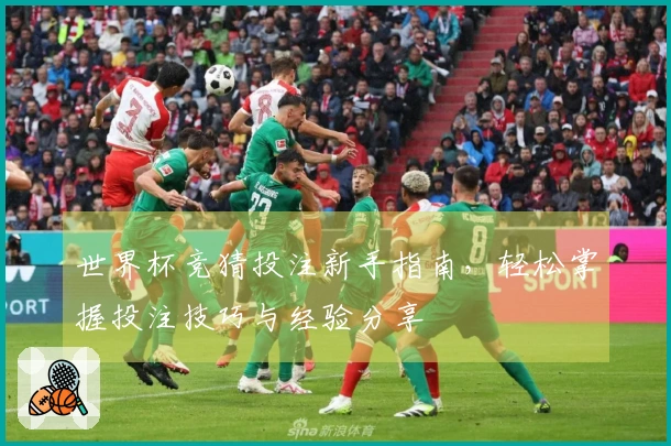 世界杯竞猜投注新手指南，轻松掌握投注技巧与经验分享