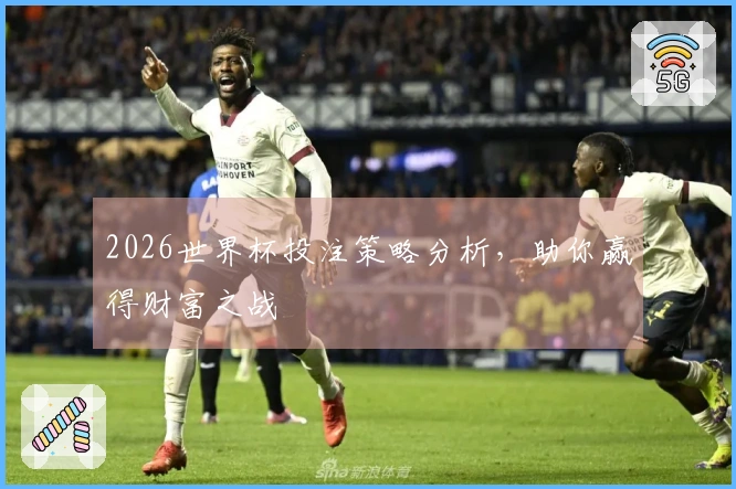 2026世界杯投注策略分析，助你赢得财富之战