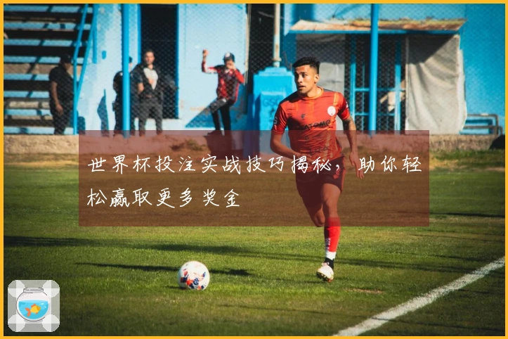 世界杯投注实战技巧揭秘，助你轻松赢取更多奖金